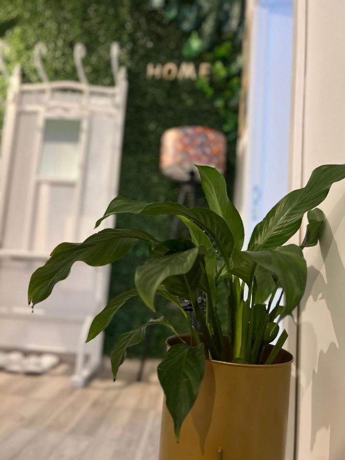 פרדיאל Sweet Home Apartament מראה חיצוני תמונה